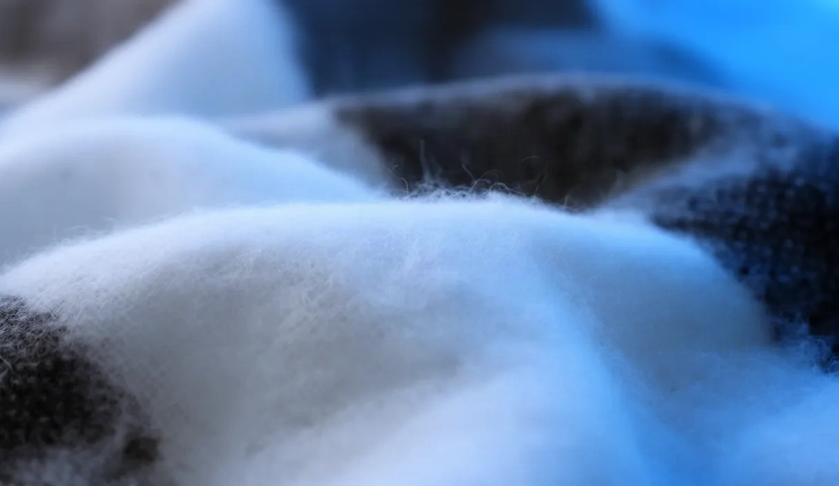 A close-up view of different fabric textures and clothing construction details including woven cotton, knitted wool, smooth silk, and metal hardware